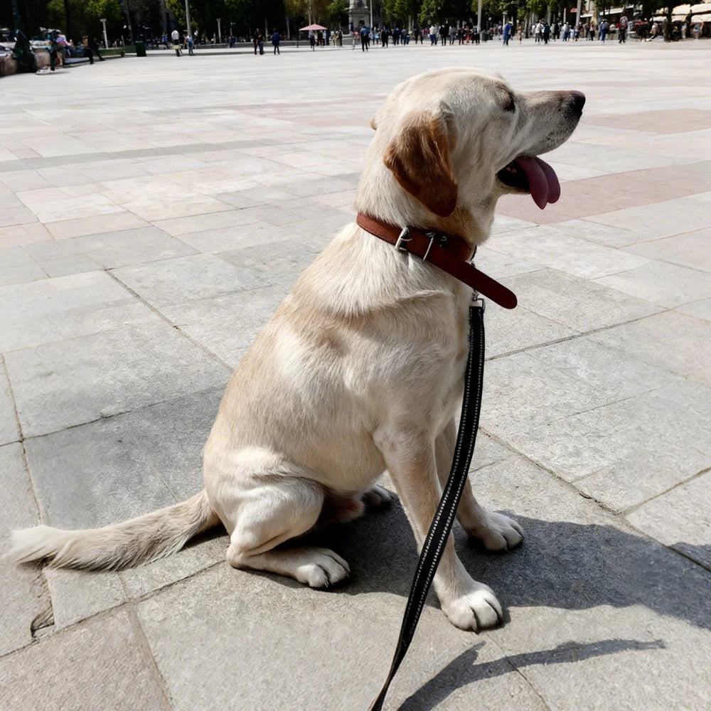 Pet Leash Reflective Nylon